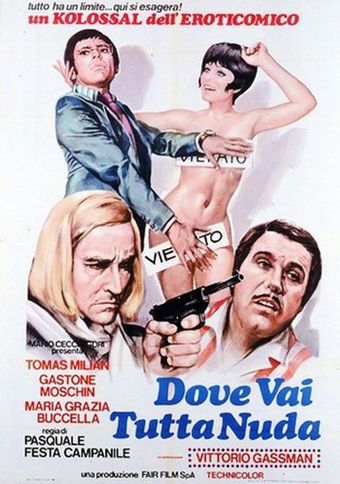 dove vai tutta nuda? 1969 poster