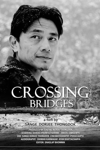 crossing bridges 2013 poster