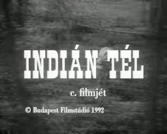 indián tél 1993 poster