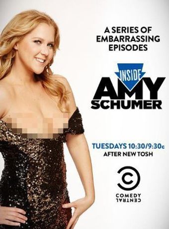 inside amy schumer 2013 poster