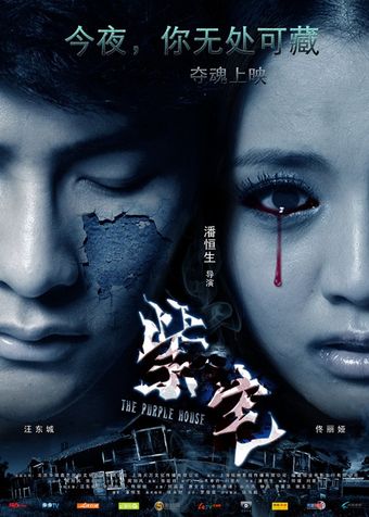 zi zhai 2011 poster