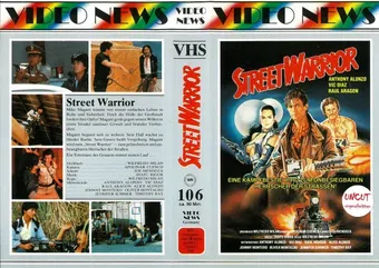 revenge of the street warrior 1987 poster