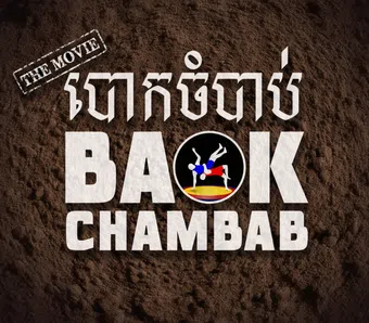 baokchambab 2019 poster