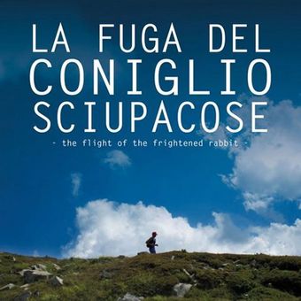 la fuga del coniglio sciupacose 2012 poster