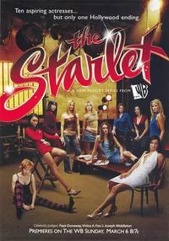 the starlet 2005 poster