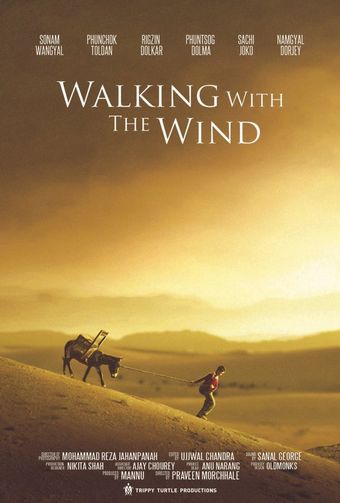 walking with the wind 2017 poster