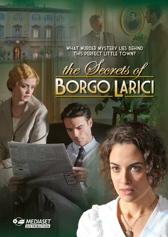 i segreti di borgo larici 2014 poster