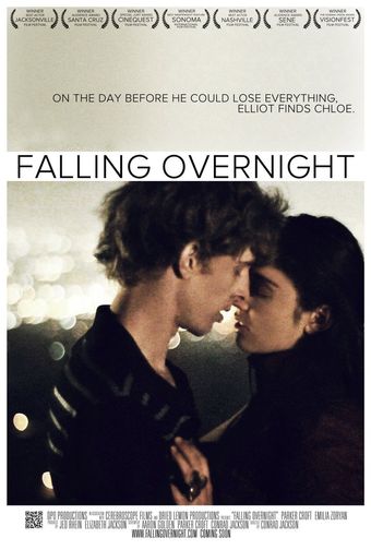 falling overnight 2011 poster