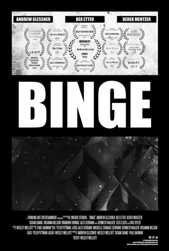 binge 2014 poster