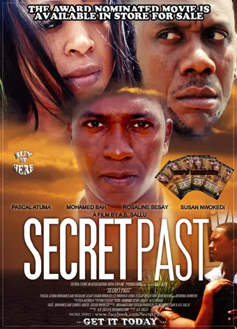 secret past 2011 poster