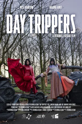 day trippers 2024 poster