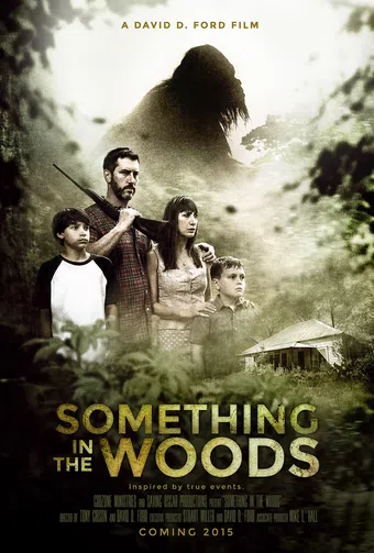 something in the woods 2015 poster