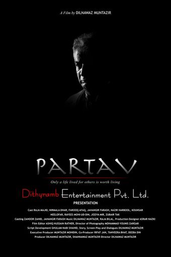 partav 2013 poster