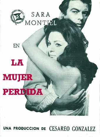 la mujer perdida 1966 poster