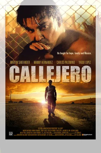 callejero 2015 poster