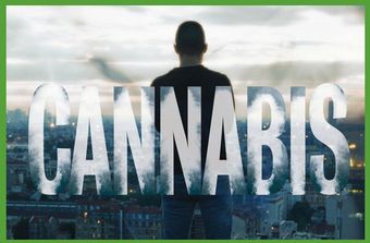 cannabis 2016 poster