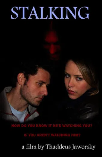 stalking 2010 poster