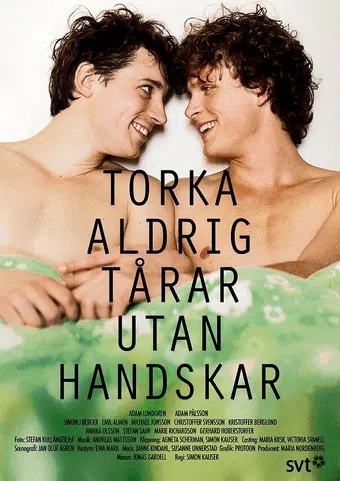 torka aldrig tårar utan handskar 2012 poster