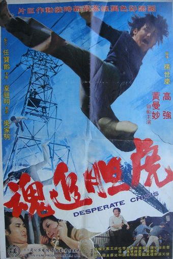 hu dan zhui hun 1974 poster