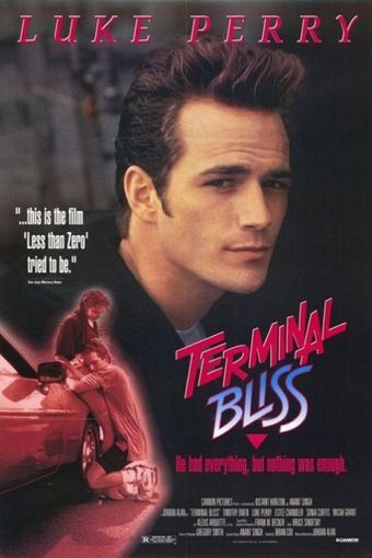 terminal bliss 1990 poster