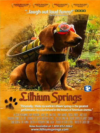 lithium springs 2004 poster