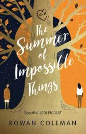 the summer of impossible things poster