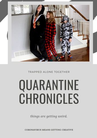 quarantine chronicles 2020 poster