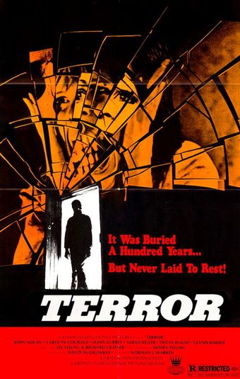 terror 1978 poster