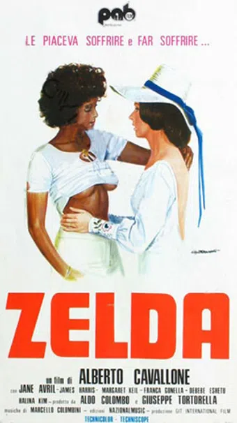 zelda 1974 poster