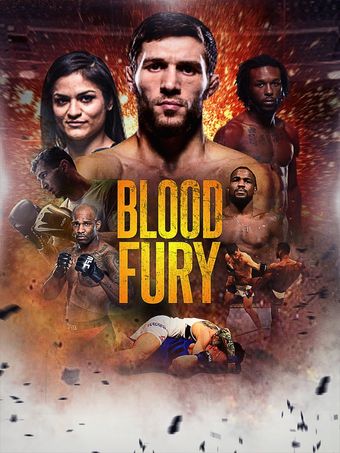 blood fury poster