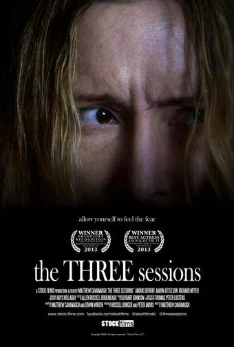 the three sessions 2013 poster