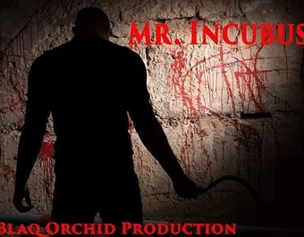 mr. incubus poster