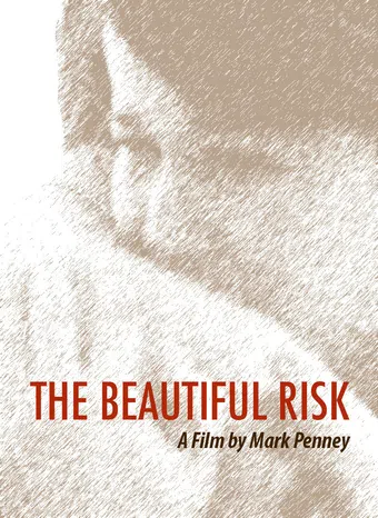 the beautiful risk 2013 poster