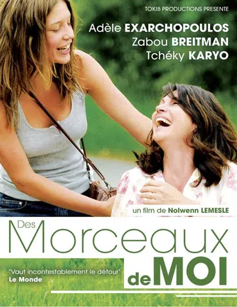 des morceaux de moi 2012 poster