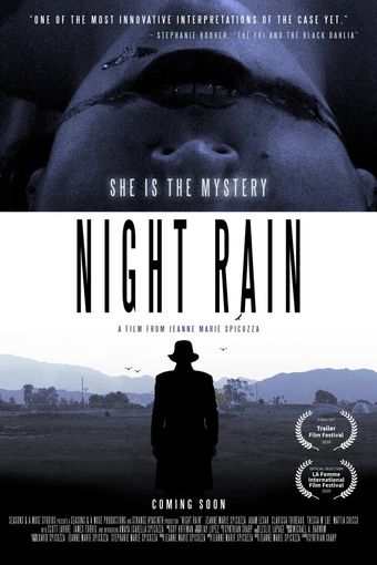 night rain 2022 poster