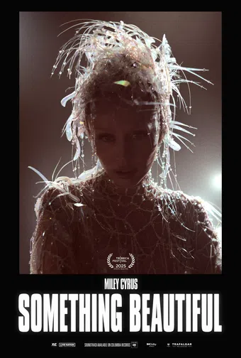 something beautiful 2025 poster