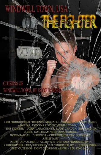 windwill town usa the fighter 2010 poster