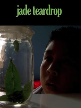 jade teardrop 2009 poster