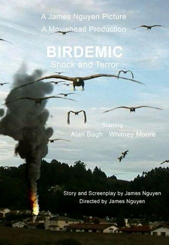 birdemic: shock and terror 2010 poster