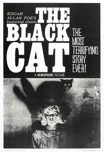 the black cat 1966 poster