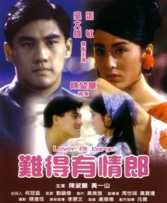 nan tak yau ching long 1991 poster