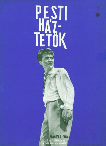 pesti háztetök 1962 poster