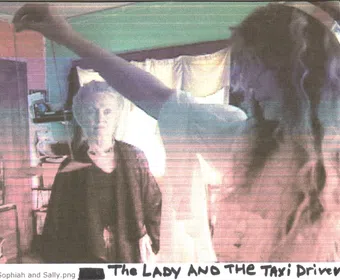 the lady and the taxi driver 2011 poster