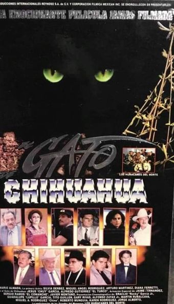 el gato de chihuahua 1996 poster