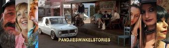 pandjieswinkelstories 2014 poster