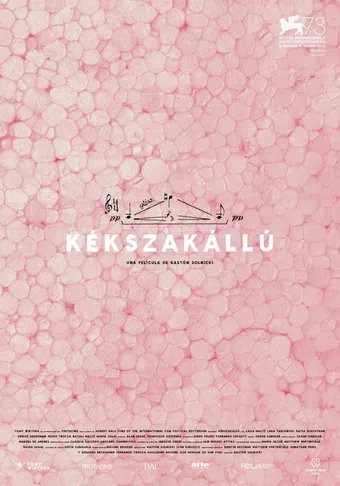 kékszakállú 2016 poster