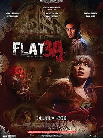 flat 3a 2011 poster