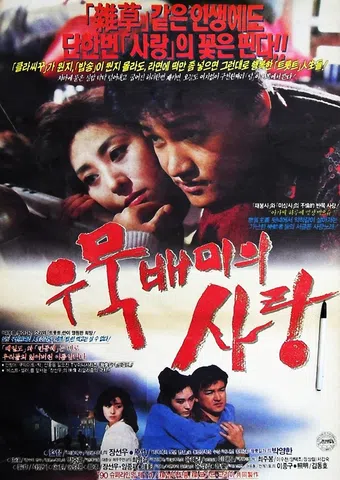 woomukbaemi ui sarang 1990 poster