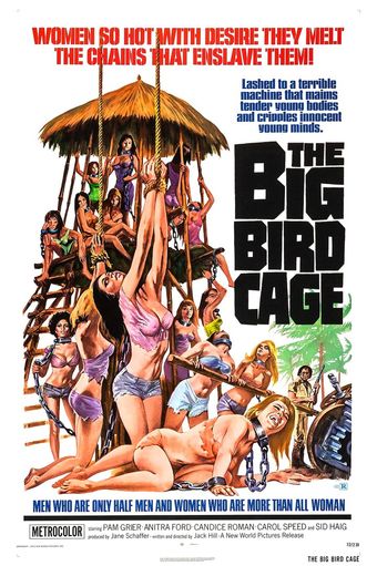 the big bird cage 1972 poster