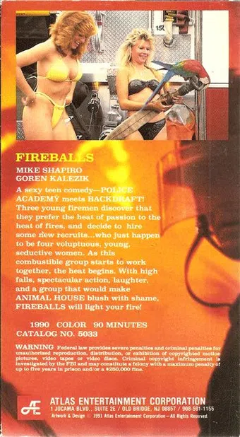 fireballs 1989 poster